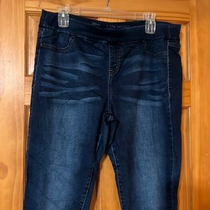 Lane Bryant Jeggins dark wash size 20